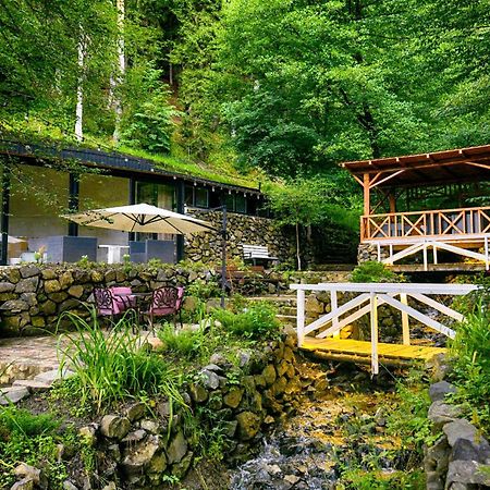 Abastumani Residence Экстерьер фото
