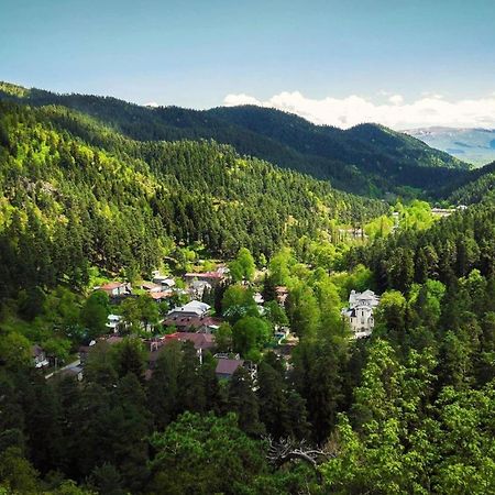 Abastumani Residence Экстерьер фото